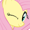 Image du logo de l'article pour Fluttershy Theme