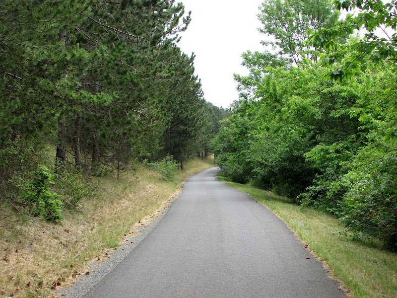 Paseo en bici a Michaelstein y Blankenburg - DE CUANDO ALEMANIA ME ABRIÓ SU CORAZÓN EN EL HARZ (3)