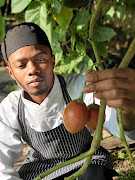 Chef Hope Mdakane enjoys harvesting fresh ingredients from the Saxon's vegetable garden to use in his dishes.