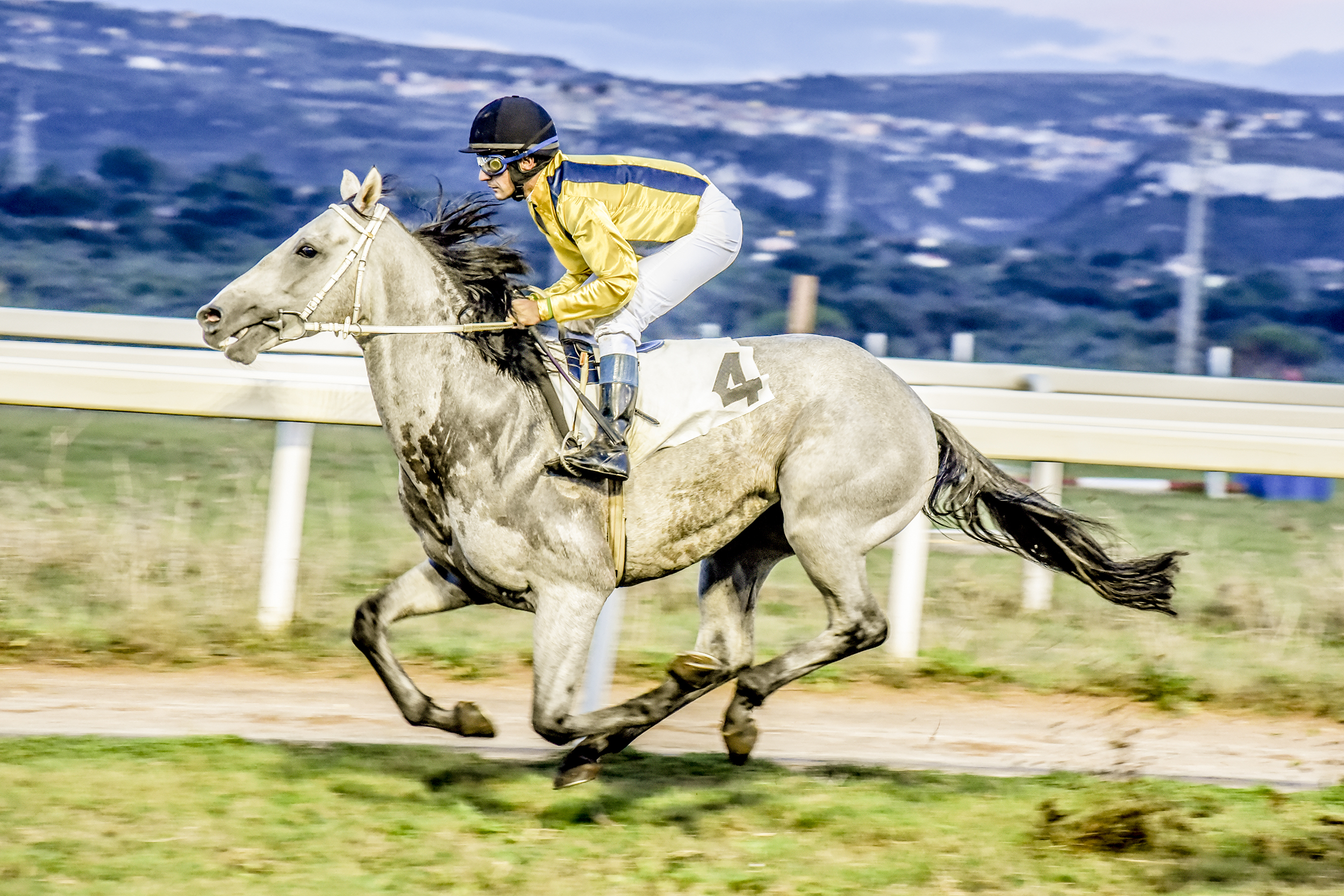 La corsa del cavallo  di marcellodongu