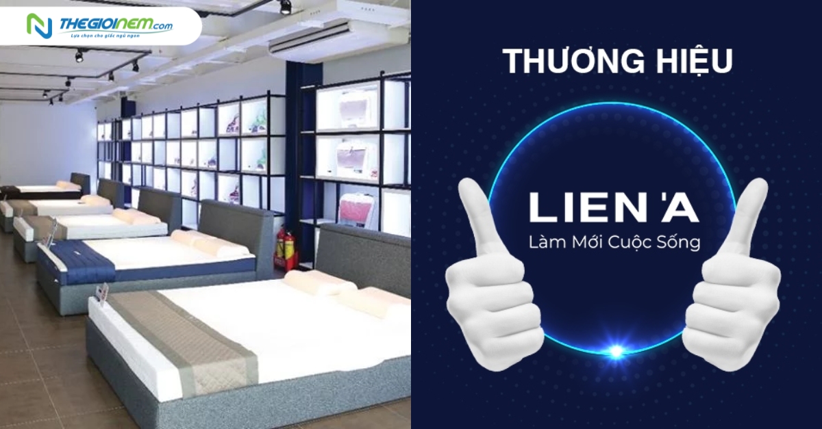 Đại Lý Nệm Liên Á Chính Hãng Giá Rẻ Tại Quận 7