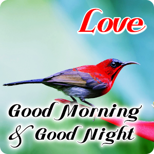 Download Good Morning & Good Night Wishes Love For PC Windows and Mac