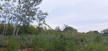 terrain à Sorgues (84)