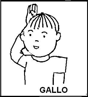 GALLO.JPG