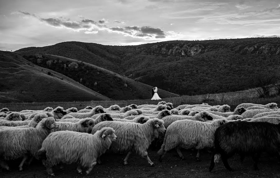 Fotograful de nuntă Cosmin Vlad (cosminvlad). Fotografia din 28 ianuarie 2023