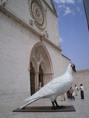 profilo francescano di steo