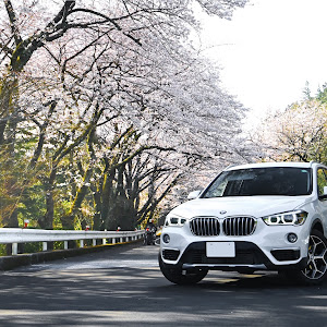 X1 xDrive 18d