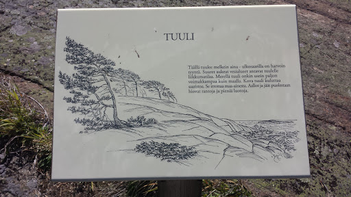 Tuuli