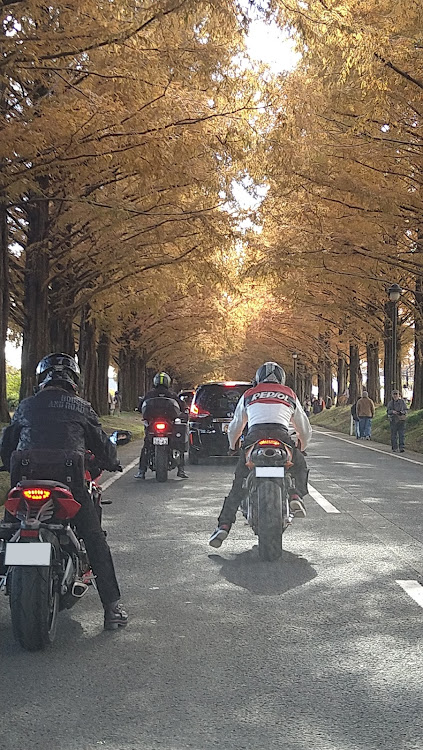 ムーヴカスタムのもみじ狩り ドライブ・大原三千院・メタセコイヤ並木紅葉🍁・Initial☆D family・L-ﾌｧﾐﾘｰ(light car family)に関するカスタム事例の投稿画像18枚目