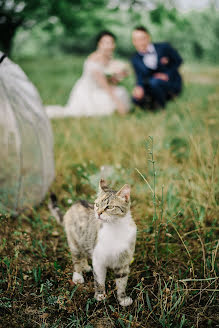 Wedding photographer Artem Shirokov (shirokov). Photo of 11 September 2020