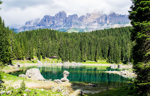 Sfumature di verde.. di vaiolet