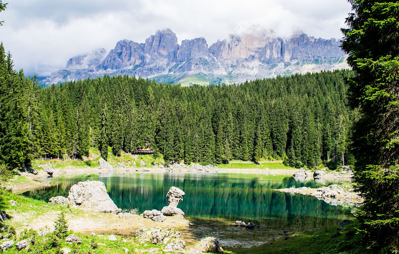 Sfumature di verde.. di vaiolet