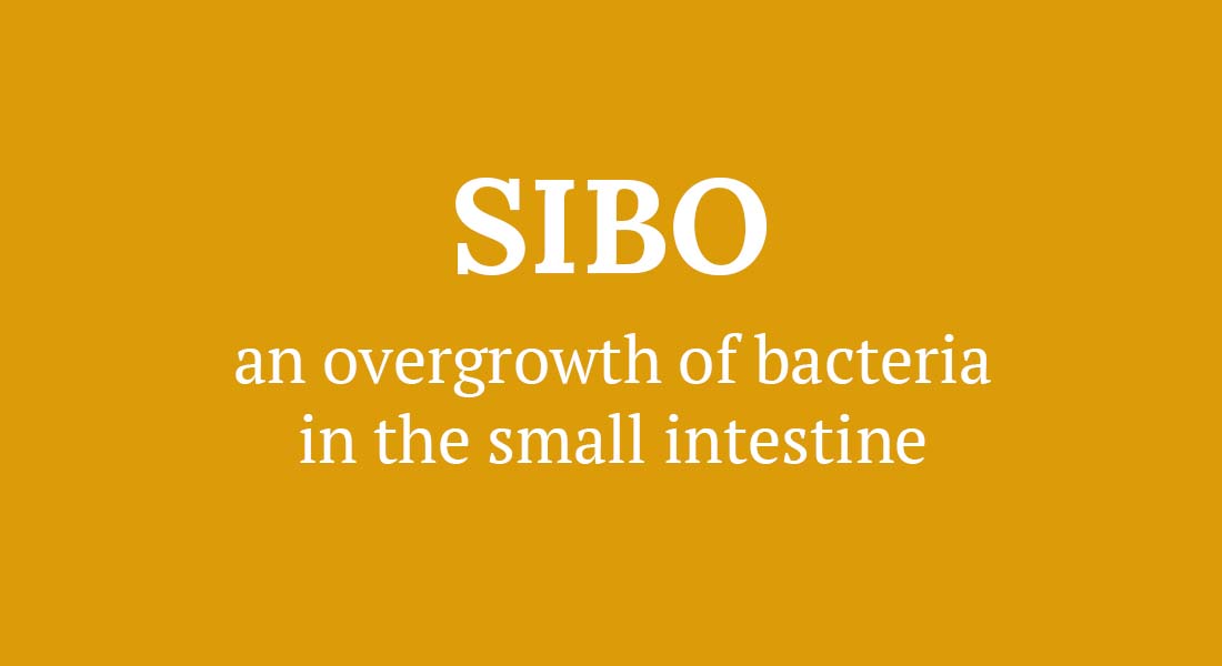 SIBO definition an overgrowth in the small intestines 