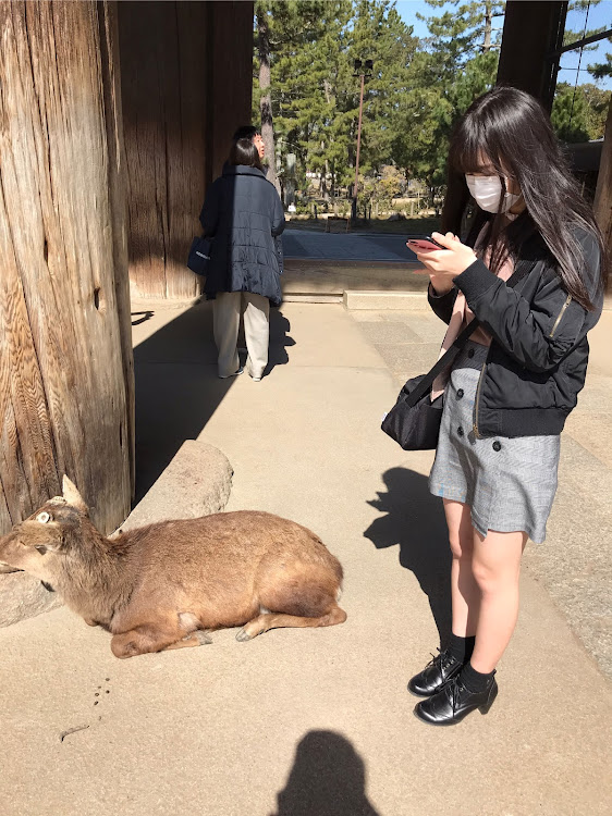 の投稿画像4枚目