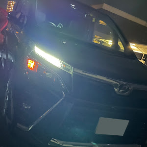 ヴォクシー ZRR80W