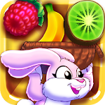 Bunny Frenzy Apk