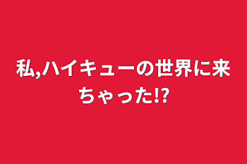 私,ハイキューの世界に来ちゃった!?