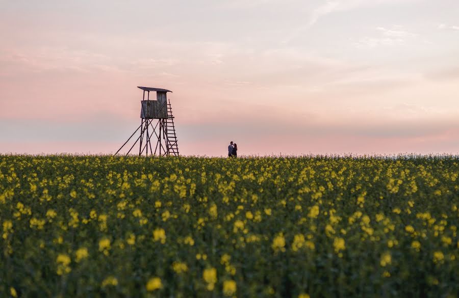 Huwelijksfotograaf Daniel Kempf-Seifried (kempfseifried). Foto van 26 juni 2014