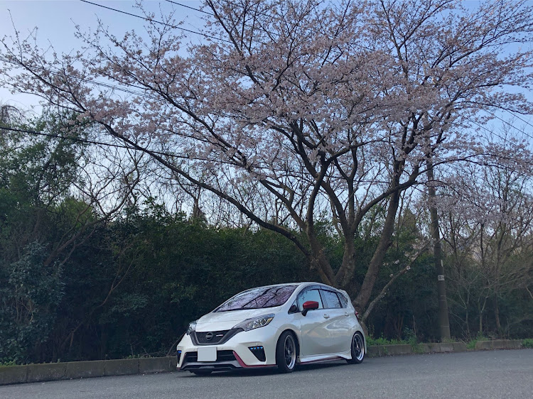 ノートのノートニスモ・山口県・桜とコラボ・いい写真撮れない・iPhoneクォリティーに関するカスタム事例の投稿画像3枚目