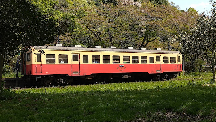 スターレットのいつもイイね＆コメントありがとうございます😆・小湊鉄道・上総大久保駅・春に関するカスタム事例の投稿画像2枚目