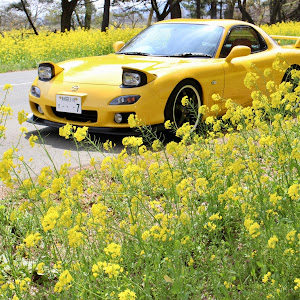 RX-7 FD3S 後期