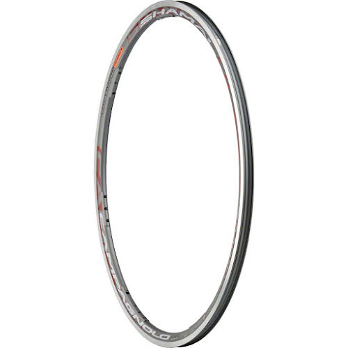 Campagnolo Shamal Ultra 2Way Fit Rear Rim Ti Gray