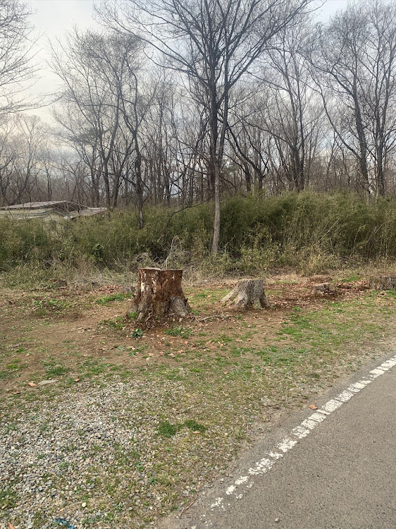その他の抜根整地・敷地内移動・駐車場整備・コイツも移動・エアーストリームに関するカスタム事例の投稿画像8枚目