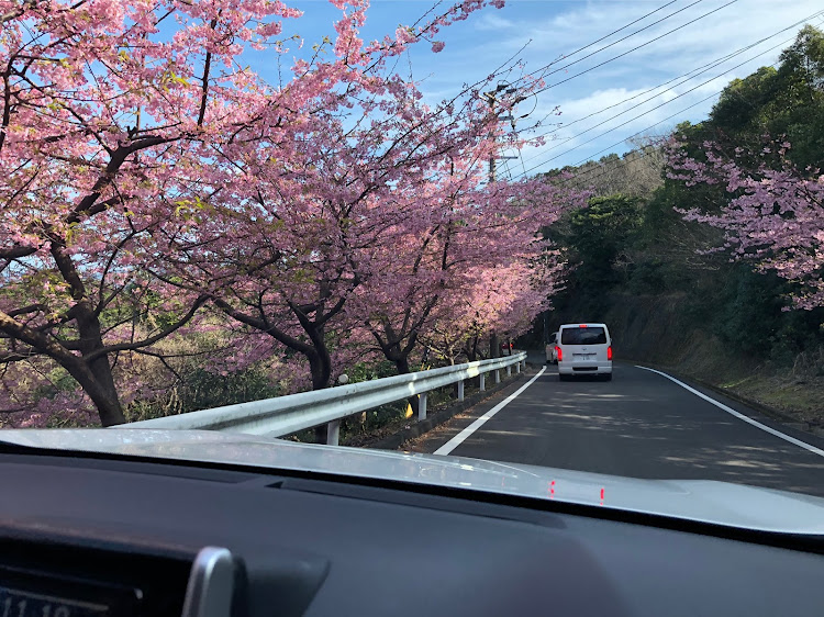 RAV4のrav4・花見・ピクニック・家族サービスに関するカスタム事例の投稿画像5枚目