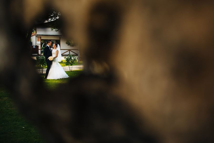 Wedding photographer Sergiu Bacioiu (sergiubacioiu). Photo of 27 October 2016