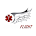Survival Flight Air Protocols icon