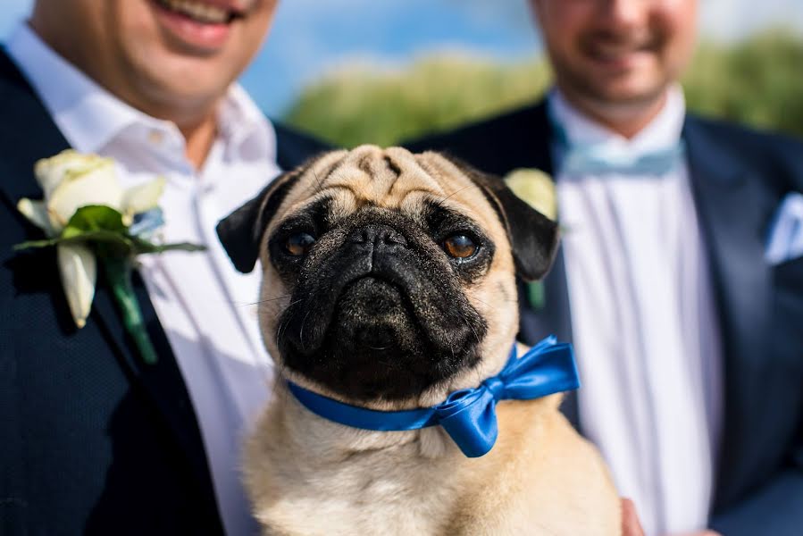 Fotografo di matrimoni Jantina Scheltema (scheltema). Foto del 7 marzo 2019