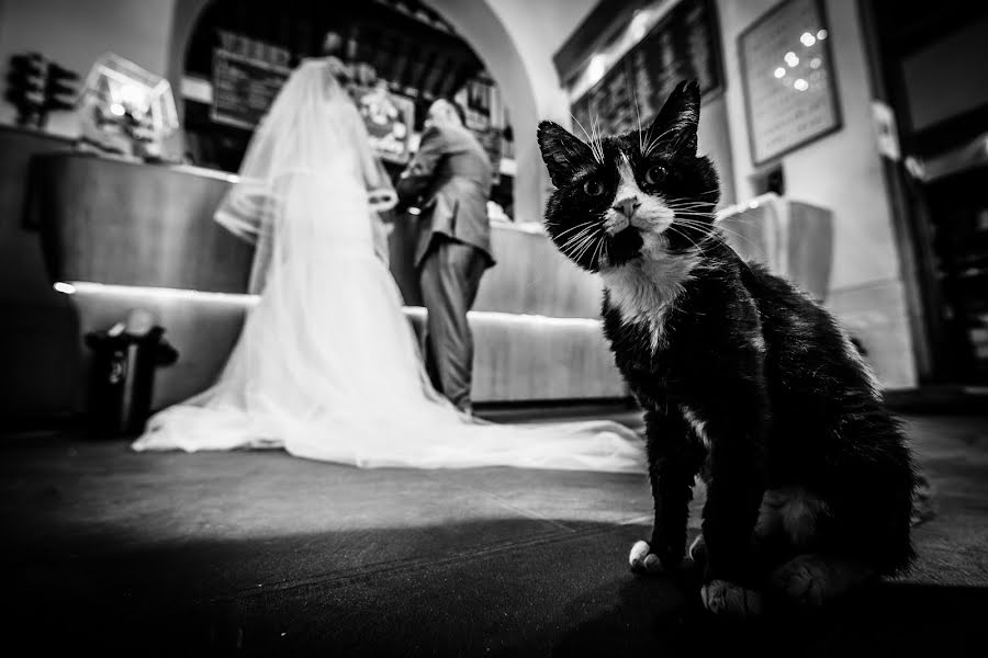 Wedding photographer Andrea Migliorati (andreamigliorati). Photo of 2 November 2019