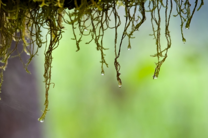 Acqua Leggera di Andrea Izzotti