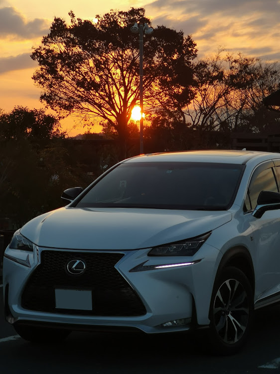 NXのチームローガン関西・夕陽シリーズ・気分リフレッシュ・干し柿、あんぽ柿に関するカスタム事例の投稿画像9枚目