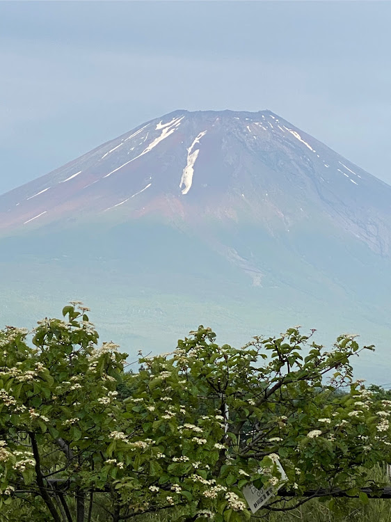 の投稿画像2枚目