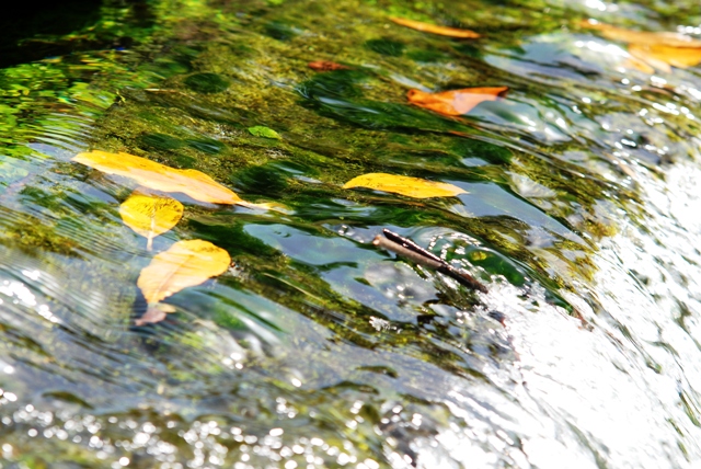 Acqua corrente... di nunass