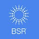 BSR 2019 Download on Windows