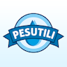 Pesutili icon