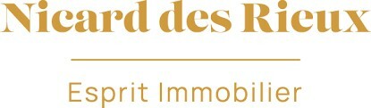 Logo de AGENCE NICARD DES RIEUX