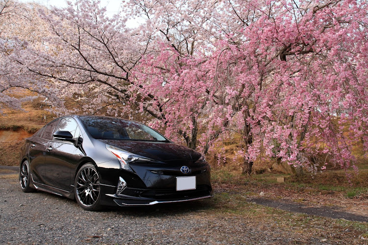 プリウスの桜と愛車・桜とコラボ・コロナが早く終息しますように・discover_ct・洗車に関するカスタム事例の投稿画像2枚目