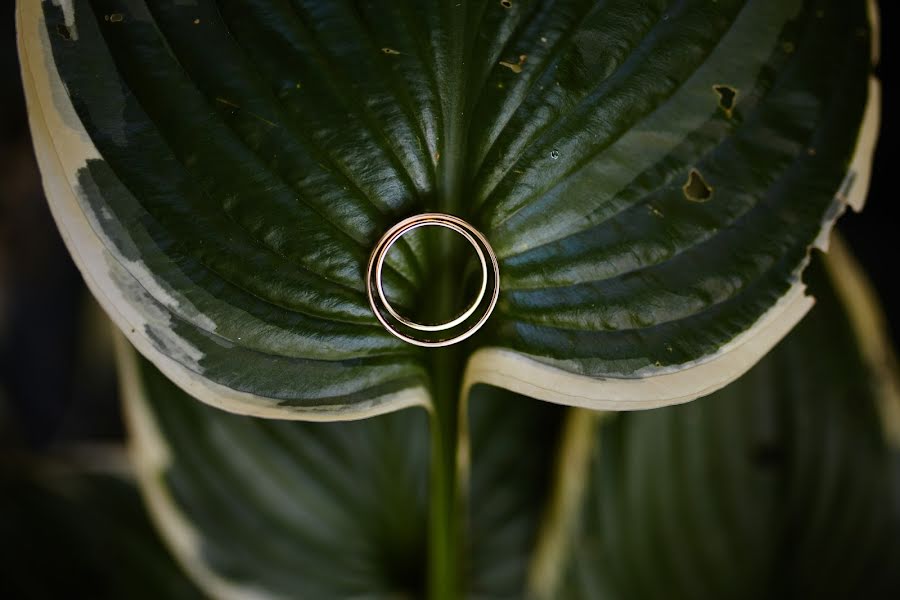 Fotografo di matrimoni Anna Płóciennik (annaplociennik). Foto del 24 settembre 2018