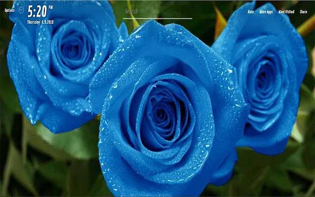 Blue Rose Wallpaper HD for NewTab