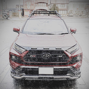 RAV4 MXAA54