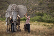 Aja Marneweck, project director of the Barrydale Puppet Parade straightens the elephant’s ear during the filming of Mnumzaan. 