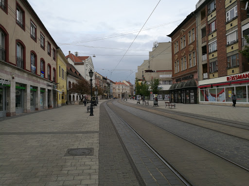 Miskolc View