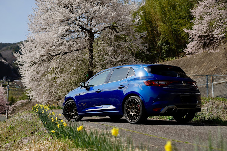 メガーヌ ハッチバックのサクラと愛車・南信州の桜🌸・今年初のコラボに関するカスタム事例の投稿画像7枚目