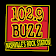 102.9 The Buzz icon