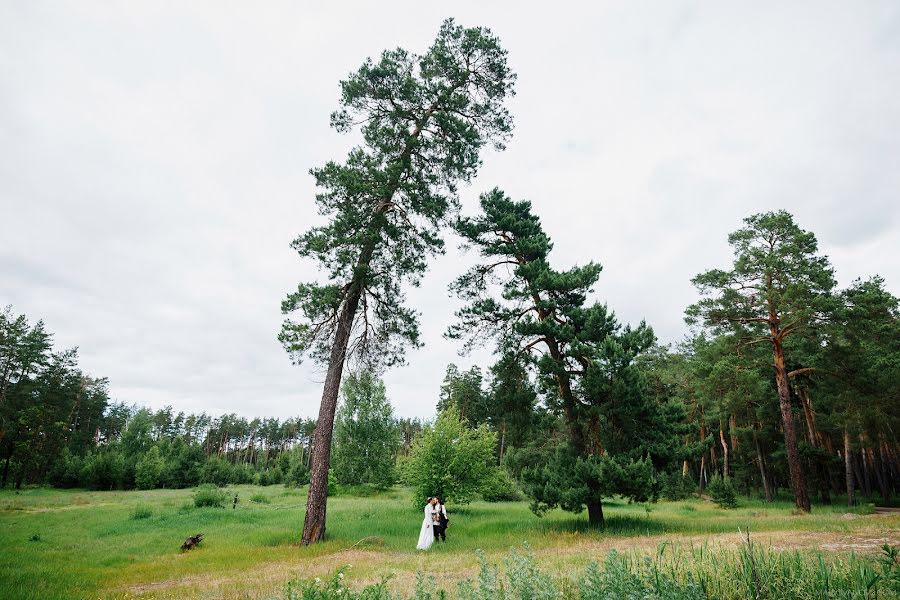 Svadobný fotograf Evgeniy Kryuchkov (maldovanov). Fotografia publikovaná 7. mája 2018