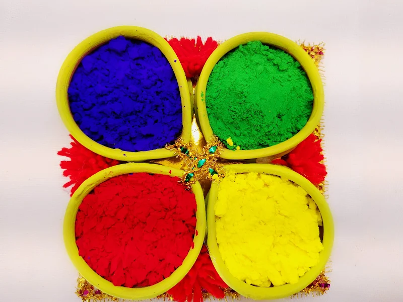 11 Organic Holi Colour Brands. Buy Organic Holi Colour Online. | magicpin  blog