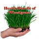 Download Health Benefit of Wheatgrass For PC Windows and Mac 1.0